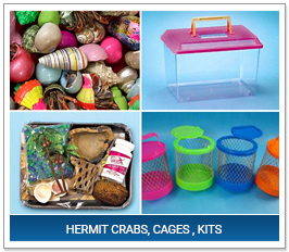 Hermit Crabs, Cages, Kits