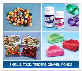 Shells, Food, Feeders, Gravel, Ponds