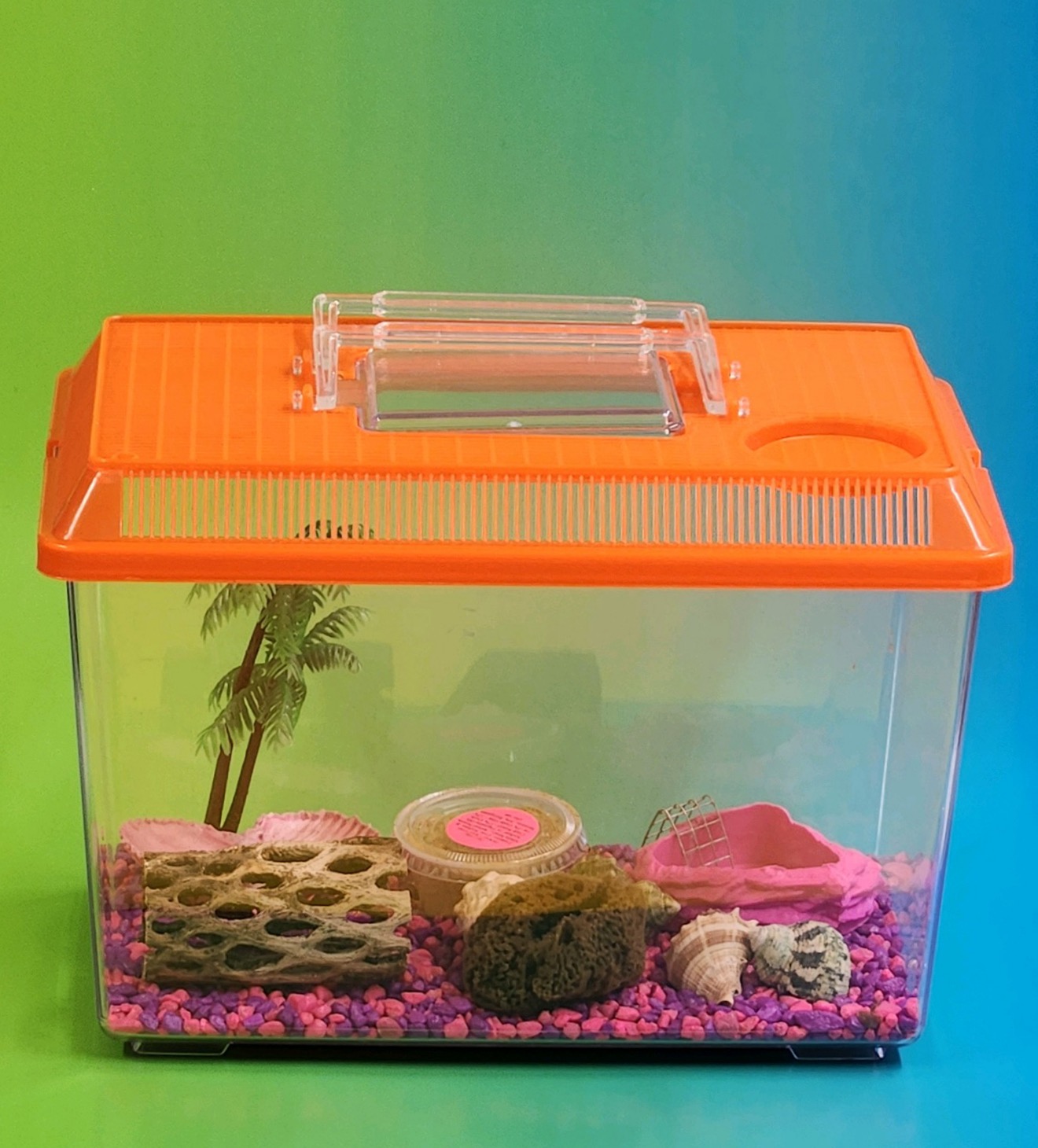 Hermit crab kit