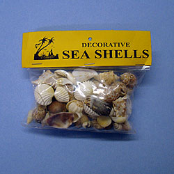 Larger Seashell Assortment