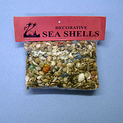 Small Sea Shell Gravel