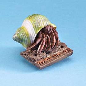 Hermit Crab Magnet